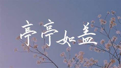 雨下亭亭如盖之木盒